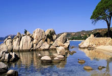 雷火电竞简介-棋盘两端，汉密尔顿与安切洛蒂的制胜方程式