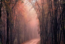 雷火电竞登录-银河战舰沉没之夜：皇马止步欧冠引爆足坛的五大争议漩涡