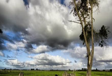 雷火电竞APP-当红蓝血脉喷张，中超赛场迎来世纪之战！巴萨利物浦天河对决全记录