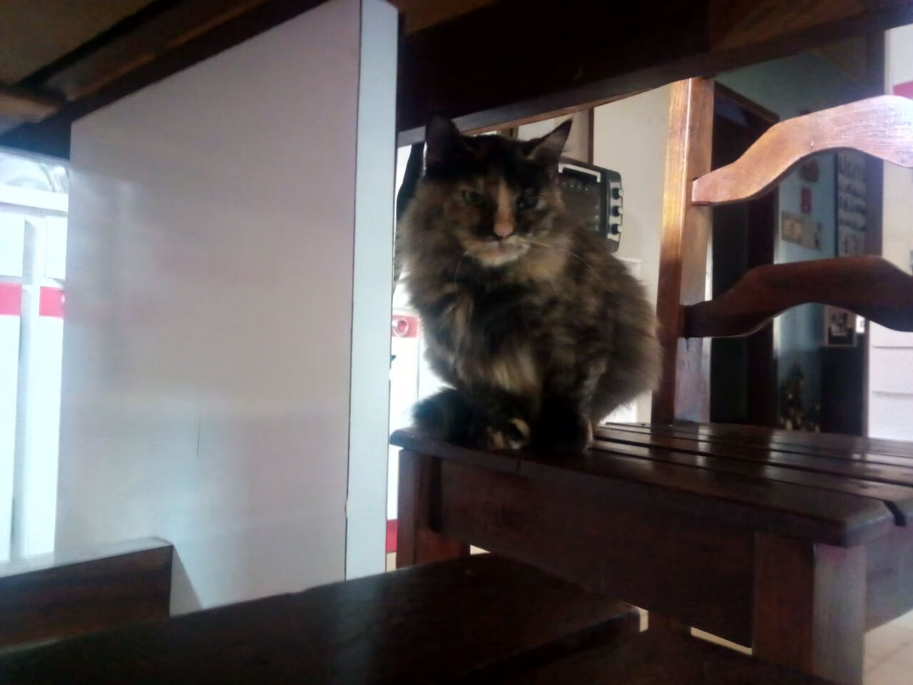 广厦队踏平开拓者!爱德华兹末节爆斩成关键先生