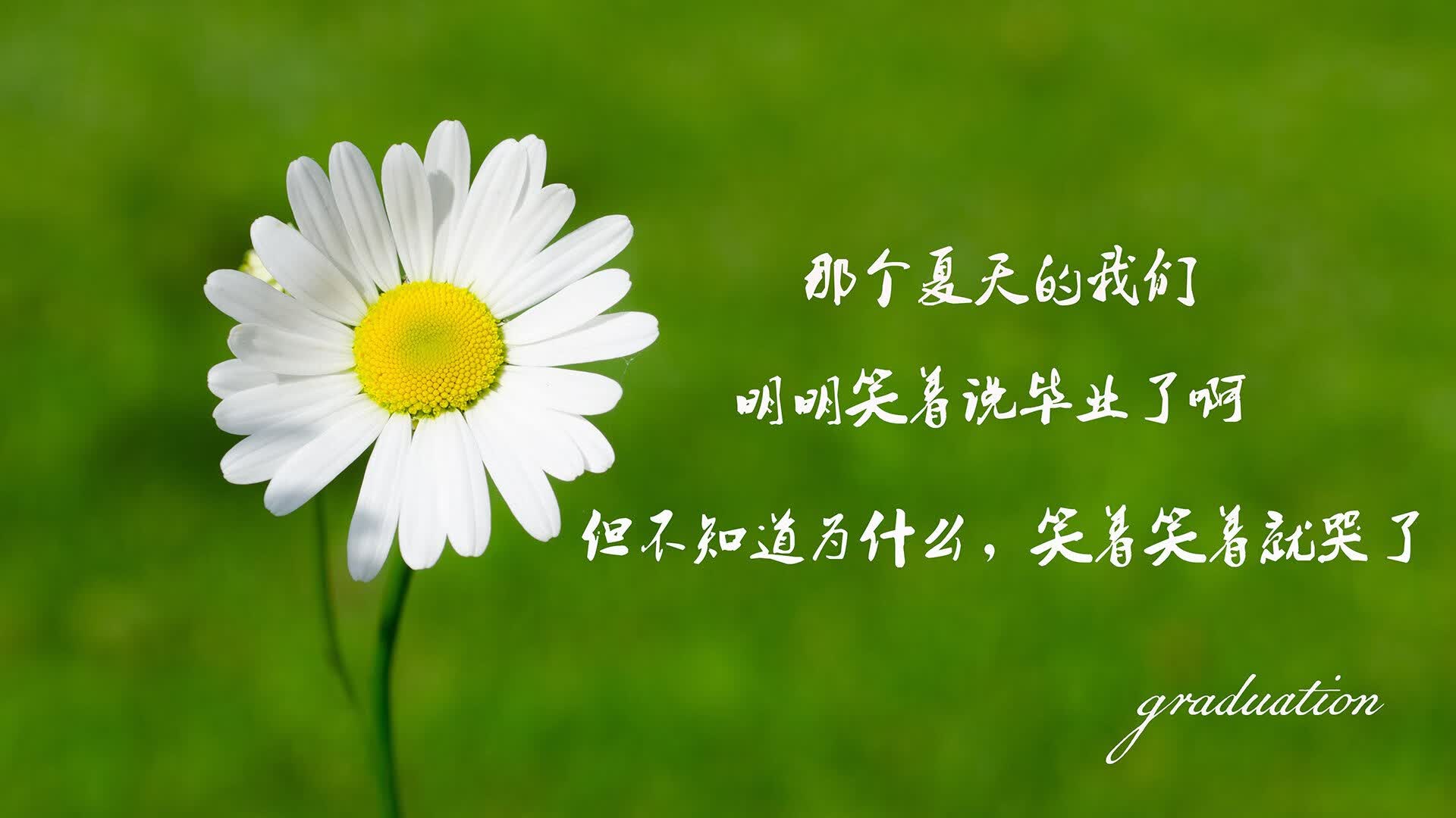 时光的复刻,2026,卢卡库与喀麦隆命运的轮回一击